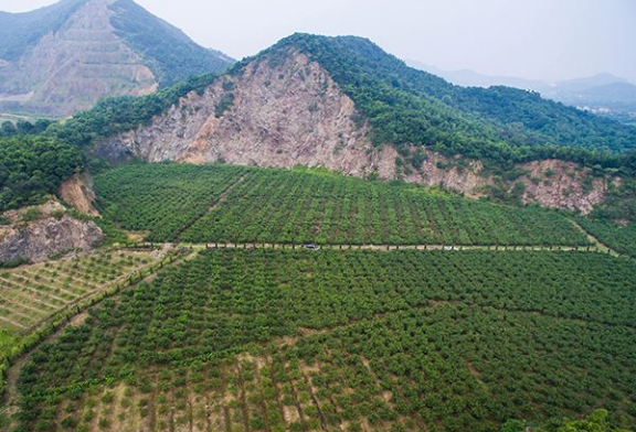 讓綠色成為礦業(yè)發(fā)展的主基調(diào)